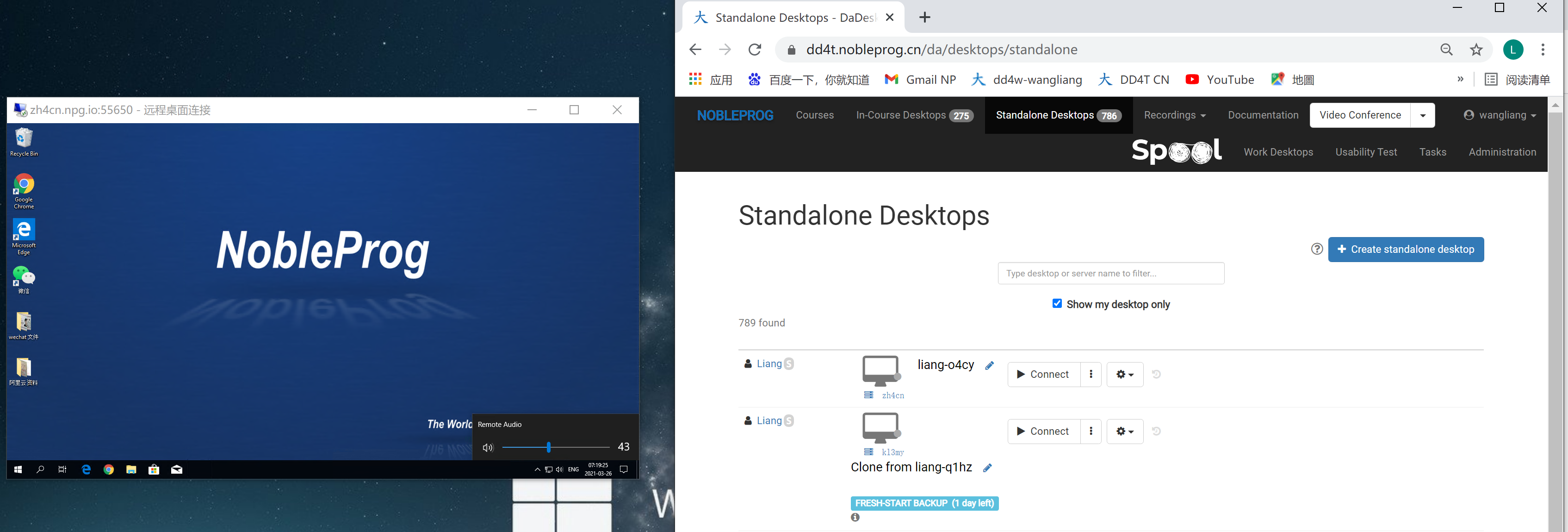 Fenster DD-Remotedesktop mit Audio